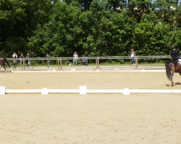 Reitturnier Winnenden 2024