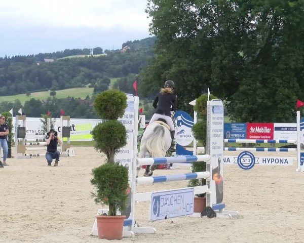 Reitturnier Hitzkirch 2024