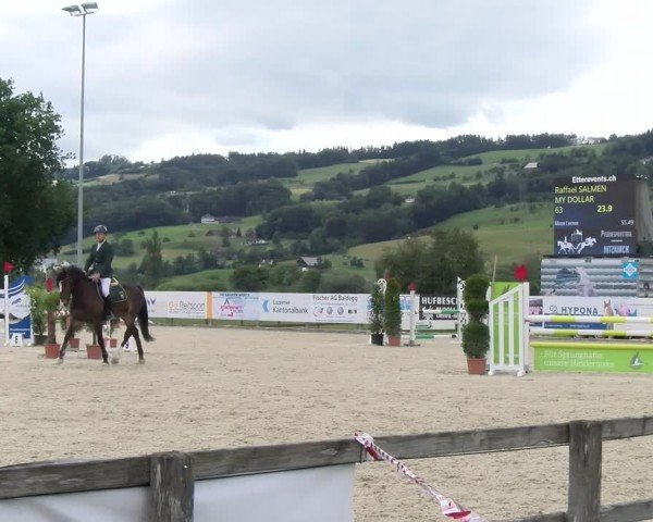 Reitturnier Hitzkirch 2024