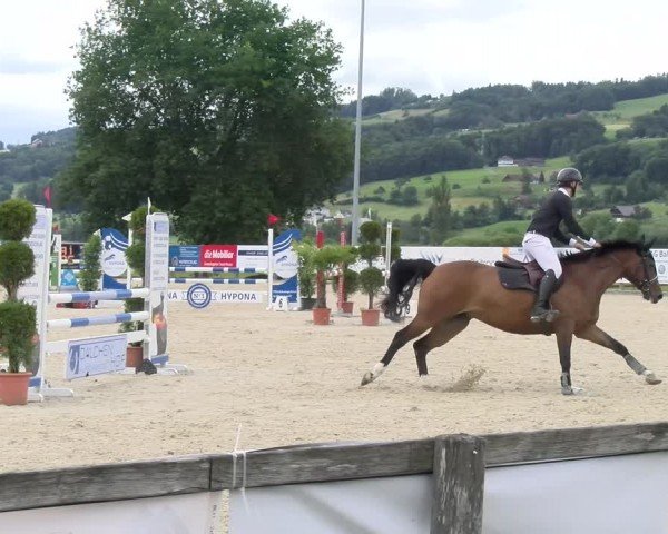 Reitturnier Hitzkirch 2024