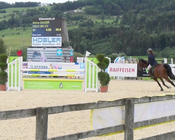 Reitturnier Hitzkirch 2024