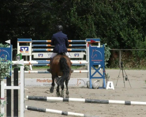 Reitturnier Springe 2024
