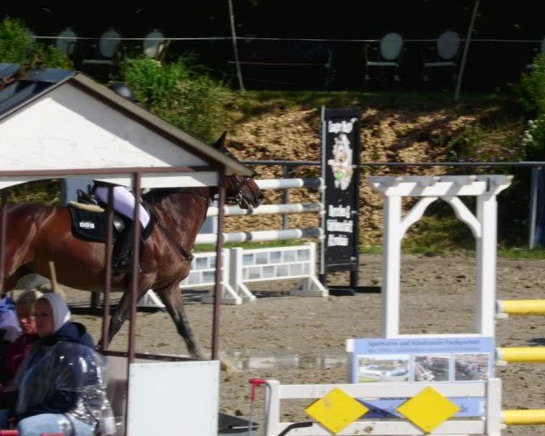 Reitturnier Mücke-Atzenhain 2024
