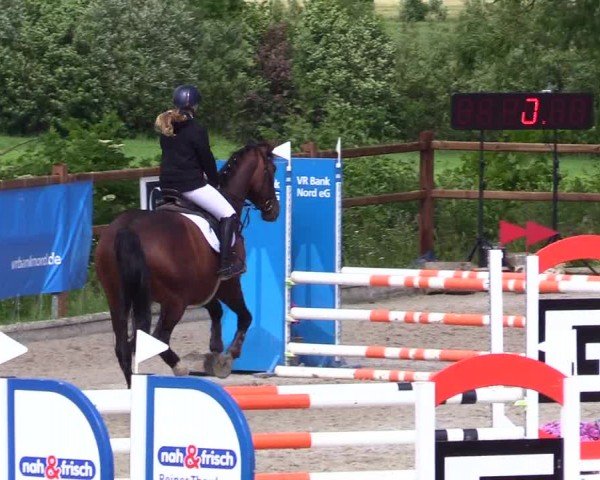 Reitturnier Sörup 2024