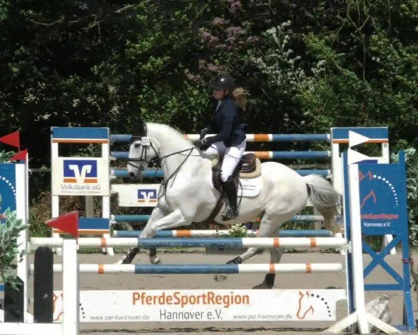 Reitturnier Springe 2024