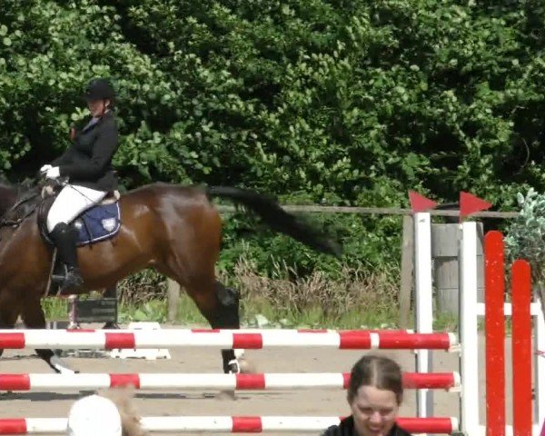 Reitturnier Springe 2024