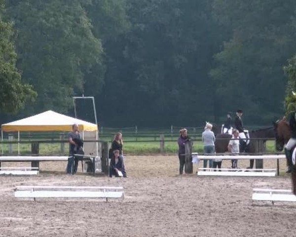 Reit- und Springturnier des LRFV Recklinghausen e.V. vom 23.-26.08.2012