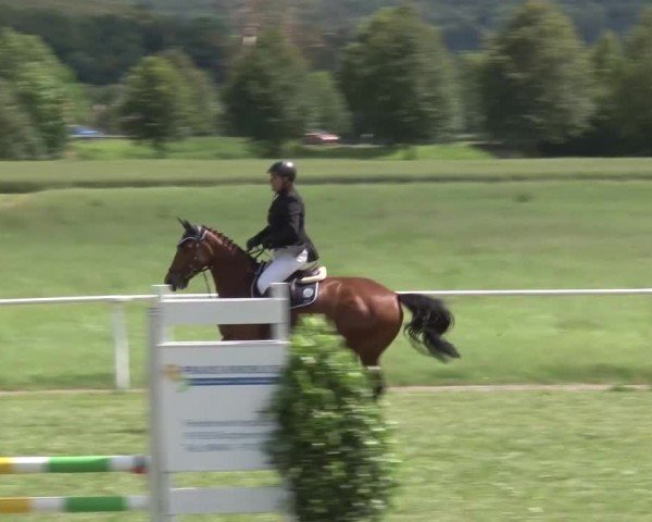 Reitturnier Bad Windsheim/Mfr. 2024