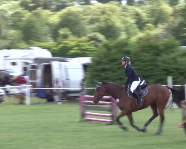 Reitturnier Bad Windsheim/Mfr. 2024