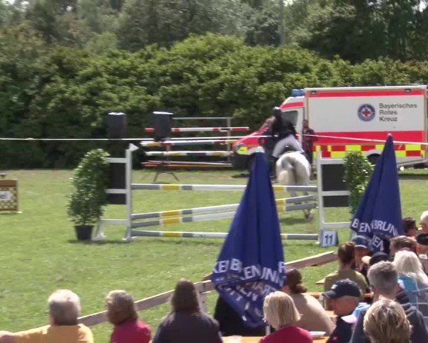 Reitturnier Bad Windsheim/Mfr. 2024