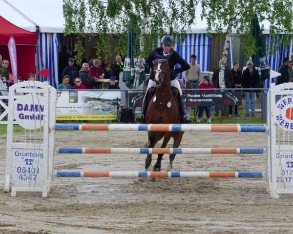 Reitturnier Mücke-Atzenhain 2024
