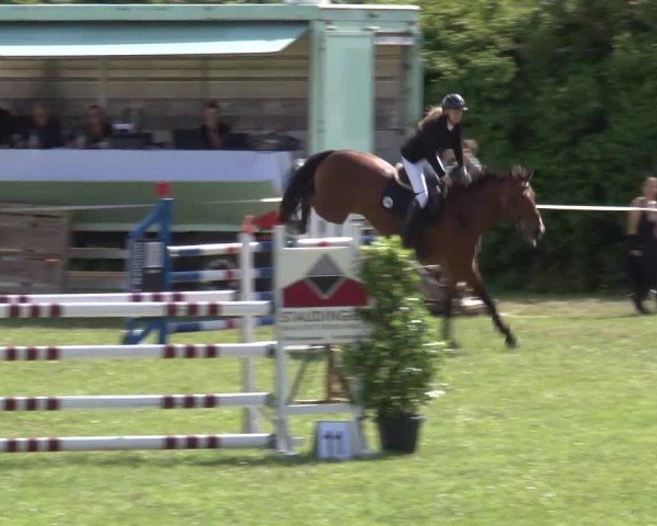 Reitturnier Bad Windsheim/Mfr. 2024
