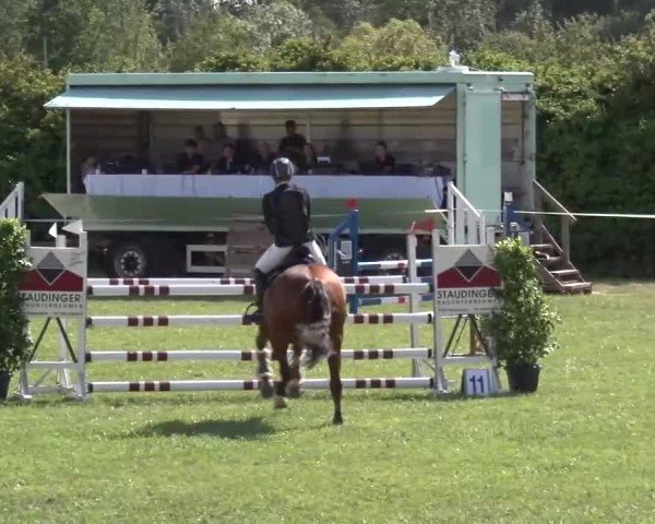 Reitturnier Bad Windsheim/Mfr. 2024