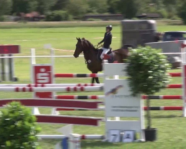 Reitturnier Bad Windsheim/Mfr. 2024