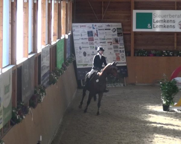 Springturnier Xanten - Reitanlage Miss 2021