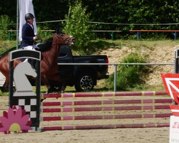 Reitturnier Mücke-Atzenhain 2024