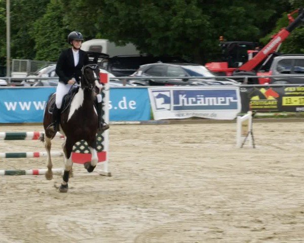 Reitturnier Winnenden 2024