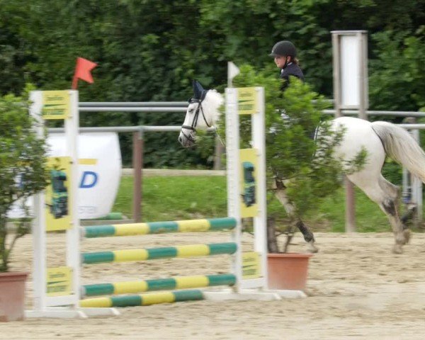 Reitturnier Winnenden 2024