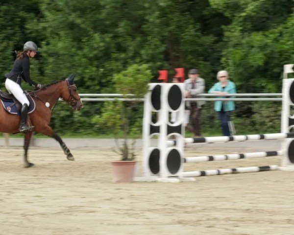 Reitturnier Winnenden 2024