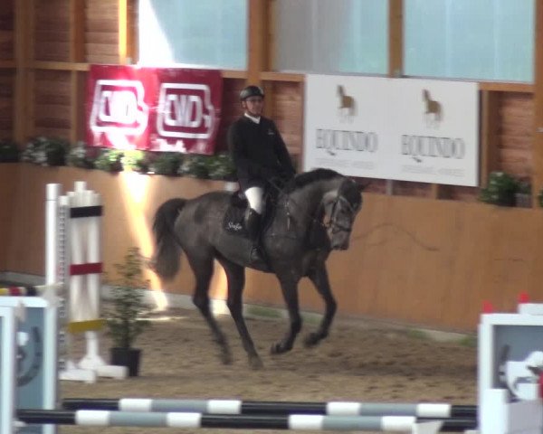 Springturnier Xanten - Reitanlage Miss 2021