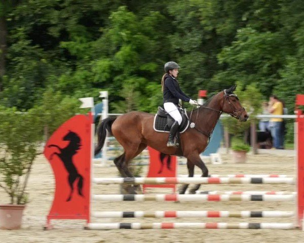 Reitturnier Winnenden 2024