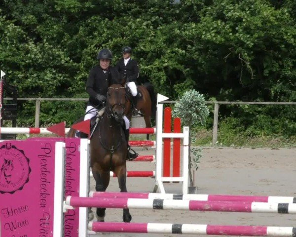 Reitturnier Springe 2024
