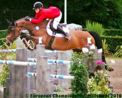 broodmare Casa Ciara (Westphalian, 2005, from Coupe de Coeur 2)