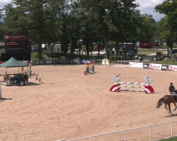 Reitturnier Stadl-Paura 2024
