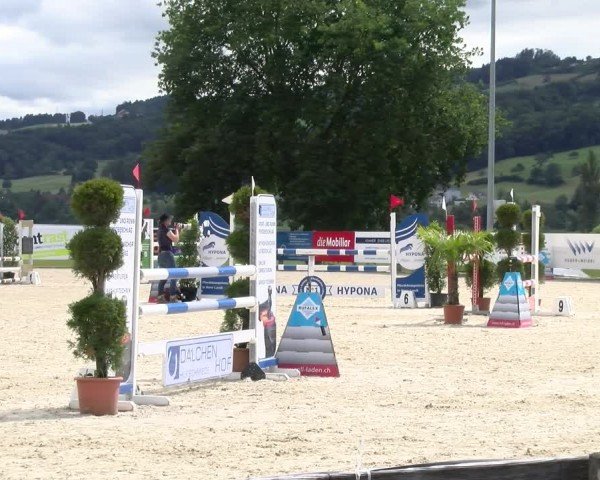 Reitturnier Hitzkirch 2024