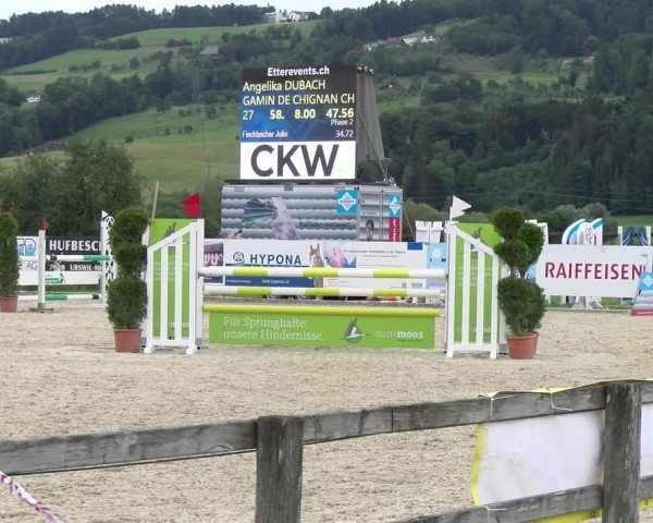 Reitturnier Hitzkirch 2024