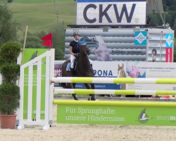 Reitturnier Hitzkirch 2024