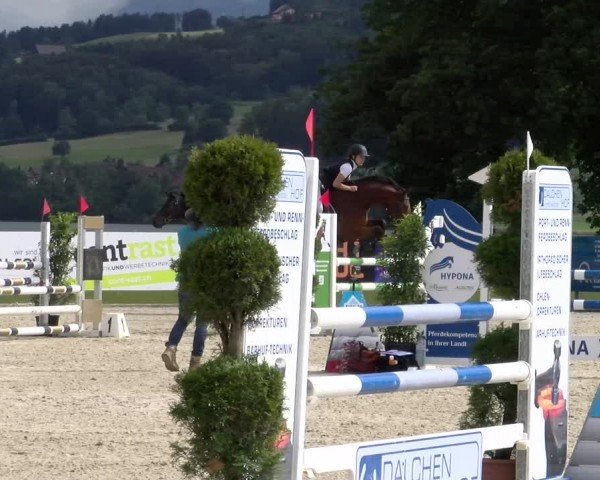 Reitturnier Hitzkirch 2024
