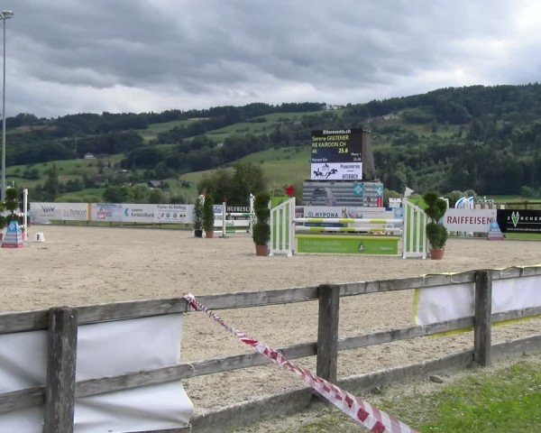 Reitturnier Hitzkirch 2024