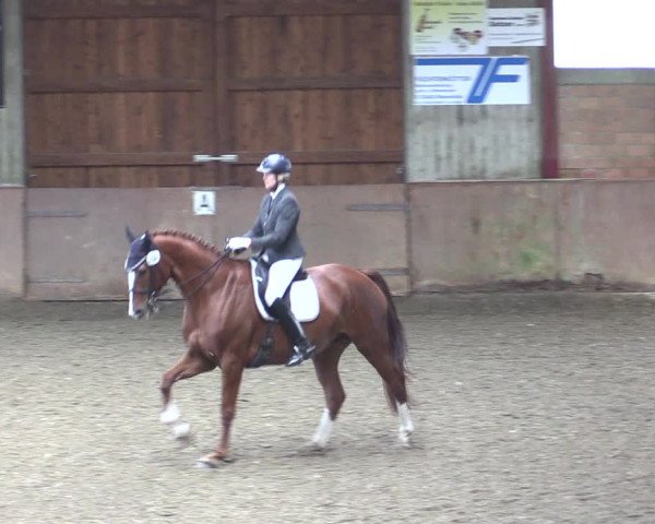 Reitturnier Herzebrock-Rheda 2021