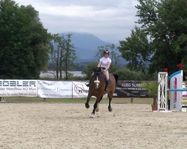 Reitturnier Hitzkirch 2024