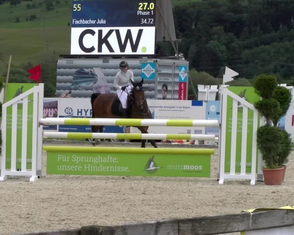 Reitturnier Hitzkirch 2024