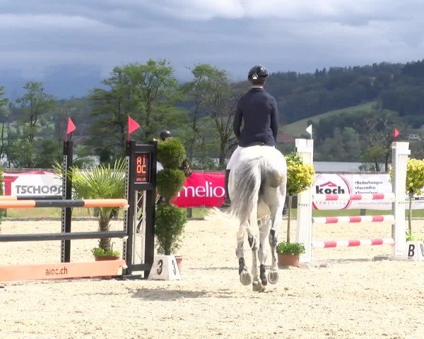 Reitturnier Hitzkirch 2024