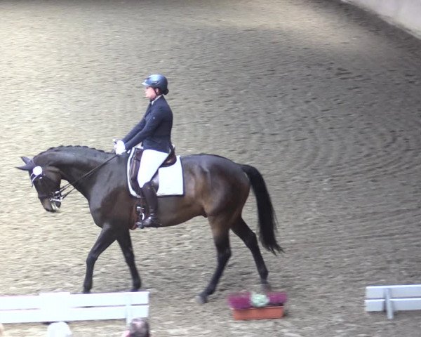 Reitturnier Herzebrock-Rheda 2021