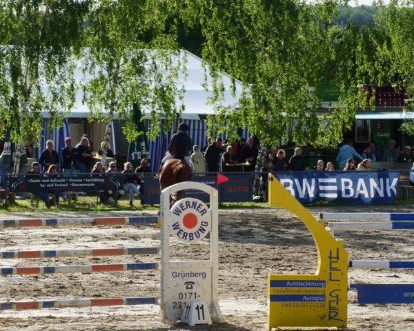 Reitturnier Mücke-Atzenhain 2024