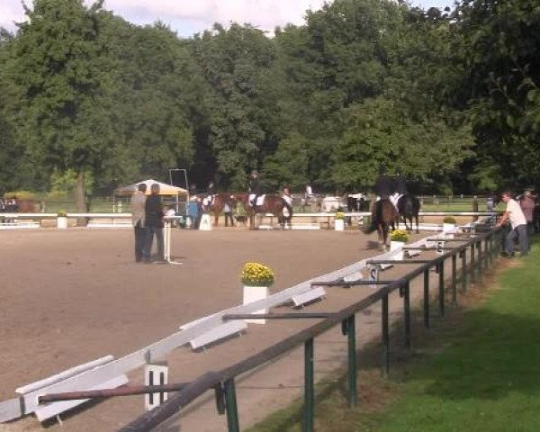 Reit- und Springturnier des LRFV Recklinghausen e.V. vom 23.-26.08.2012
