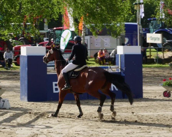 Reitturnier Mücke-Atzenhain 2024