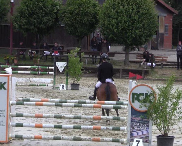 Reitturnier Schönfeld 2024