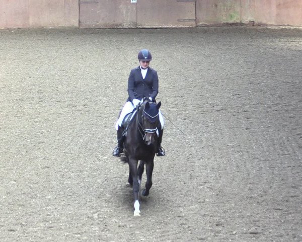 Reitturnier Herzebrock-Rheda 2021