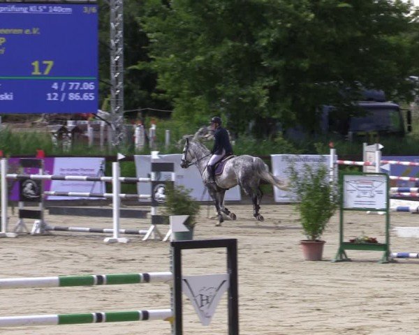 Reitturnier Schönfeld 2024