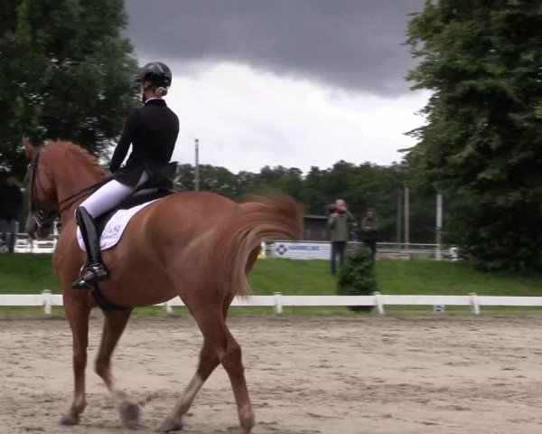 Reitturnier Coesfeld/Lette 2024