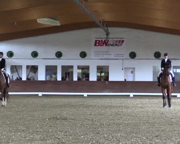 Reitturnier Coesfeld/Lette 2024