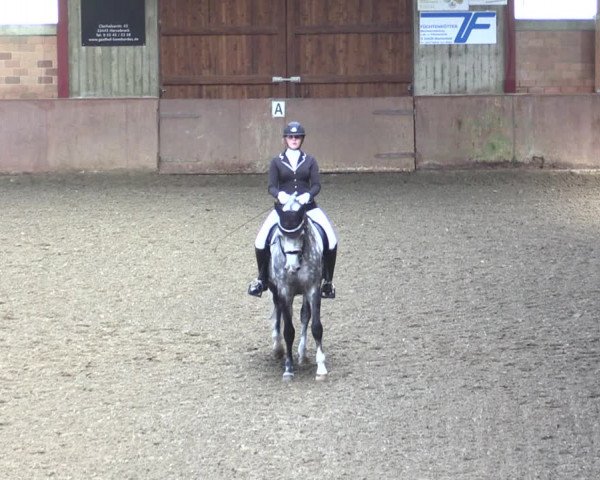 Reitturnier Herzebrock-Rheda 2021