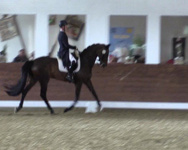 Reitturnier Coesfeld/Lette 2024