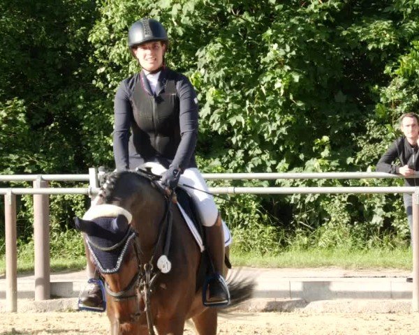 Reitturnier Winnenden 2024