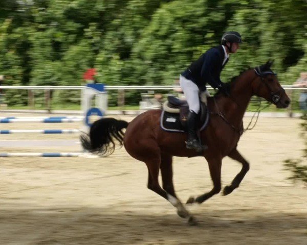 Reitturnier Winnenden 2024